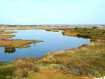 Ria de Alvor. Foto Pedro Prats/Flickr
