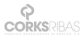 CorksRibas desencadeia processo contra activistas sindicais e políticos