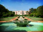 Bloco questionou o governo sobre situação de precariedade em Serralves