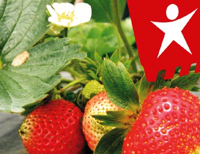 No encontro do Bloco sobre agricultura biológica participaram 70 pessoas