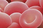 Projecto de Bloco para pôr fim à discriminação na recolha de sangue pode ser aprovado na AR