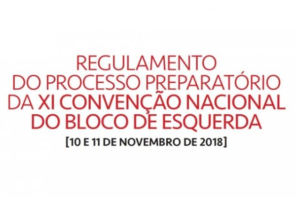 Regulamento do processo preparatório da XI Convenção