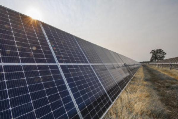 Catarina Martins questiona Comissão Europeia sobre megaprojeto da BP na Beira Baixa