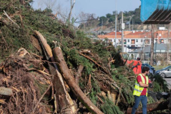 Leiria: Bloco abre sede para recolher donativos e divulga ações solidárias nos vários concelhos