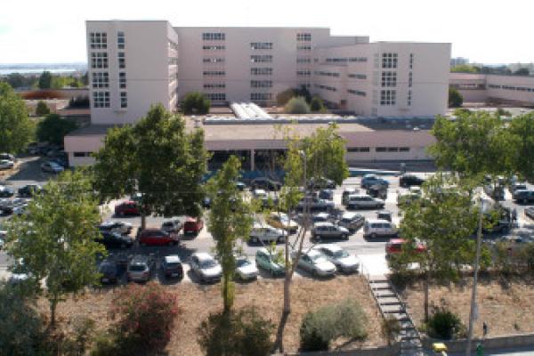 Bloco exige reversão do encerramento das urgências obstétricas no Barreiro