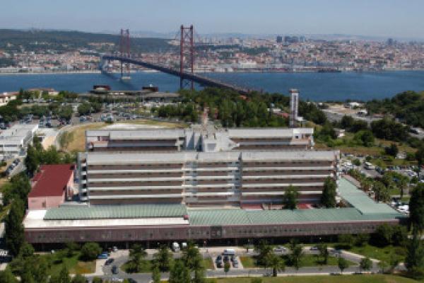 Utentes e médicos criticam limitação do acesso à IVG, Bloco propõe reforço do SNS