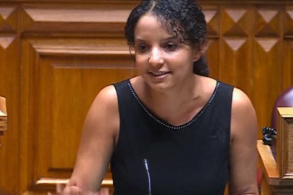 “Padrão ético da Spinumviva não é aceitável para o país”
