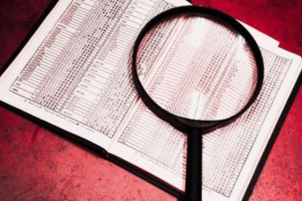 Bloco quer reforçar meios da Entidade para a Transparência e sanções para incumprimentos 